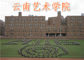 云南艺术学院2020年成人高考(业余)招生简章